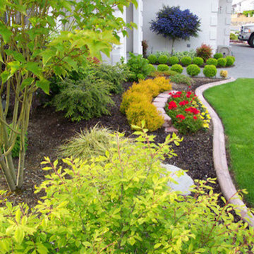 Lawn Maintenance