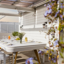 Ping pong dining room