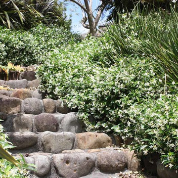 Michelle McDonnell Landscape Design gallery
