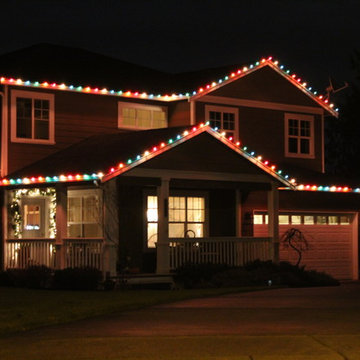 Professional Christmas Light Installation