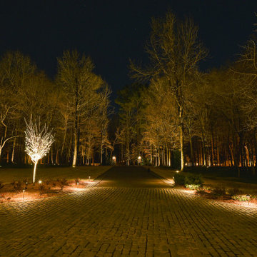 Tree Lighting