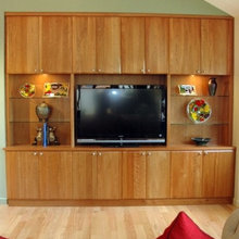 entertainment built in