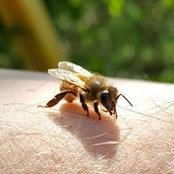 Photo de Rachel Ogle