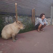 Hikaru Samejimas foto