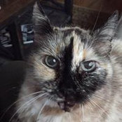Anne Kunkel's photo