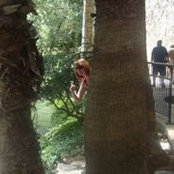 Foto von AnnMarie Green