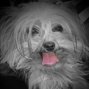 ZeusStella Trocki's photo