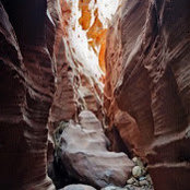 Paul Smith's photo