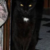 Leslie Jolly's photo