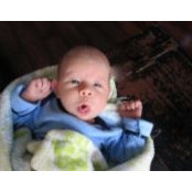 Robin Wittman's photo