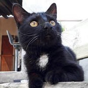 Foto de Gerald Comas
