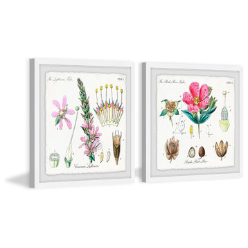 "Growing Pink Diptych" Framed Prints, 24"x24", 2-Piece Set