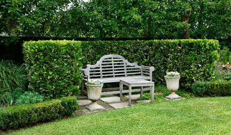 12 Reasons to Plant a Hedge