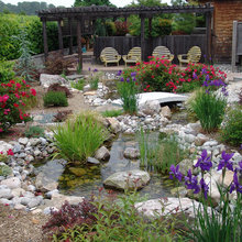 bobbie_baxter's Ideas