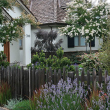 grape stake fence