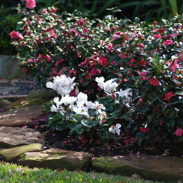 Memorial Area Front Yard