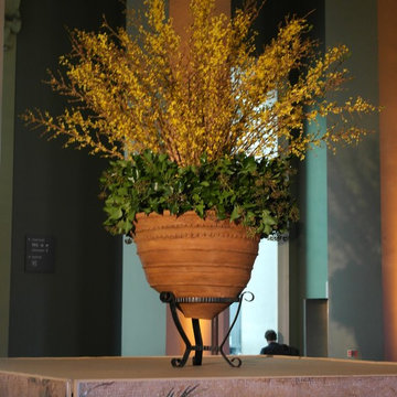 Capital Garden Planters