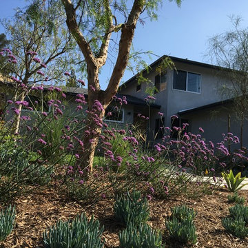Eagle Rock in the hills (AFTER)