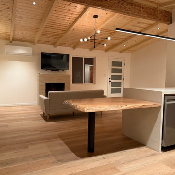 Living Room / Kitchen
