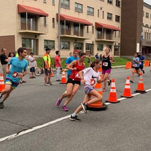 Rose en course 08-2019
