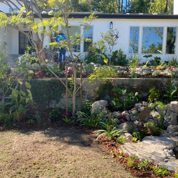 Encino Pond, Pondless Waterfall & Landscape Project