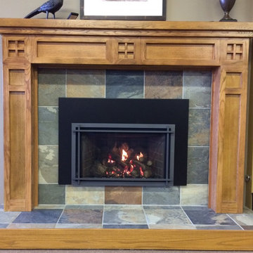 Mendota fireplaces and inserts