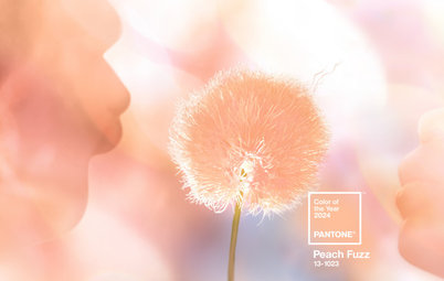 Pantone Picks a Peach for Its 2024 Color of the Year