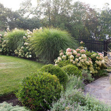 Garden ideas