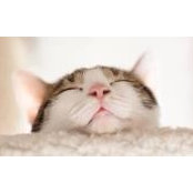 Kyoko Teoh's photo
