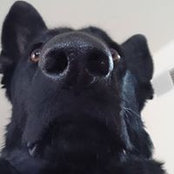 Foto von Dikter Cooter