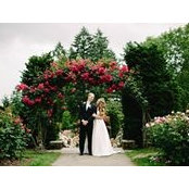 Michelle Trebelhorn's photo