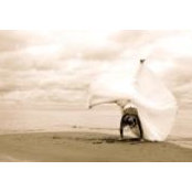 Jessica Whells's photo