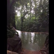 Claudette Wells's photo