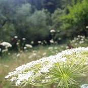 Beth Chance's photo