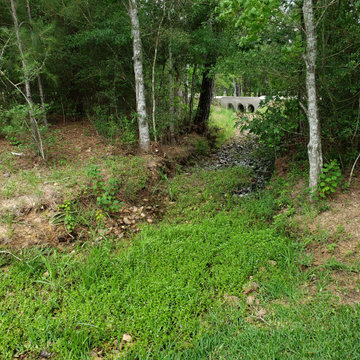 Ornamental Erosion Control