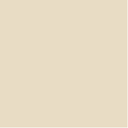 Benjamin Moore Barely Beige 1066 - Paint