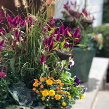 fall container ideas 2