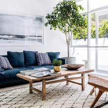 Indoor Plants