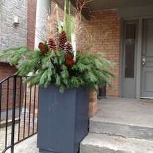 Planter ideas