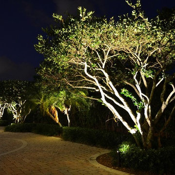 Residential Landscape Lighting