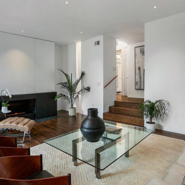 Georgetown Modern - Trentman House