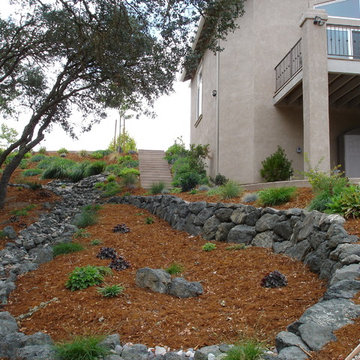 Natural Drainage