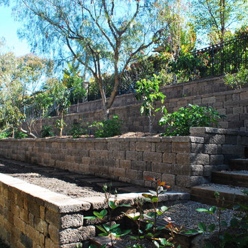 Back Yard Terrace