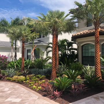Landscaping with Tropical Color-Palms and Bromeliads