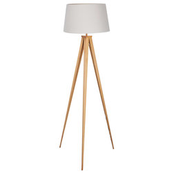 Midcentury Floor Lamps by Euro Style Collection