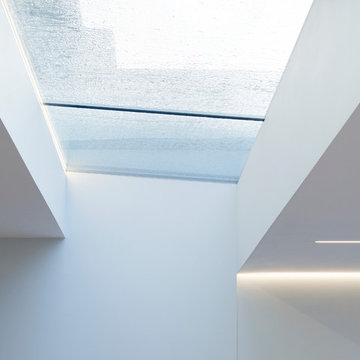 Raised Garden, rooflight detail