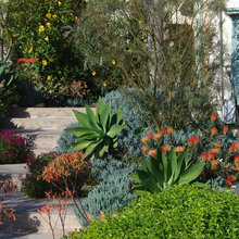 N's front yard