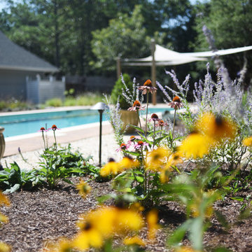 Poolside Perennial Garden