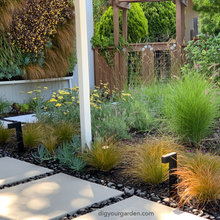 Landscaping Reno 2024