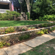 Yard ideas